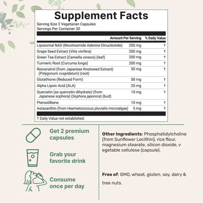 Align S Liposomal NAD+